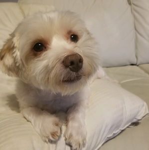 Meet your Posher, James